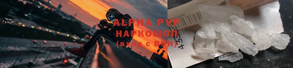 амф Магадан
