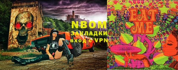 амф Магадан