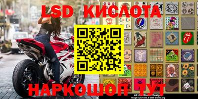 ГАЛЛЮЦИНОГЕННЫЕ ГРИБЫ Балахна