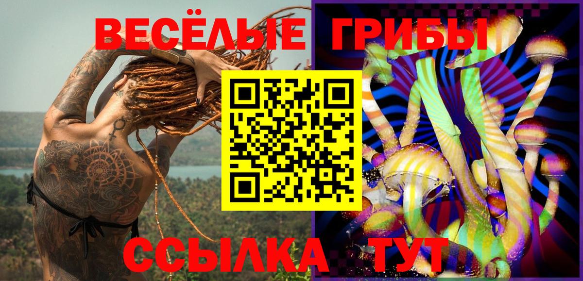 Галлюциногенные грибы прущие грибы  где можно купить   Кимры  Галлюциногенные грибы прущие грибы 