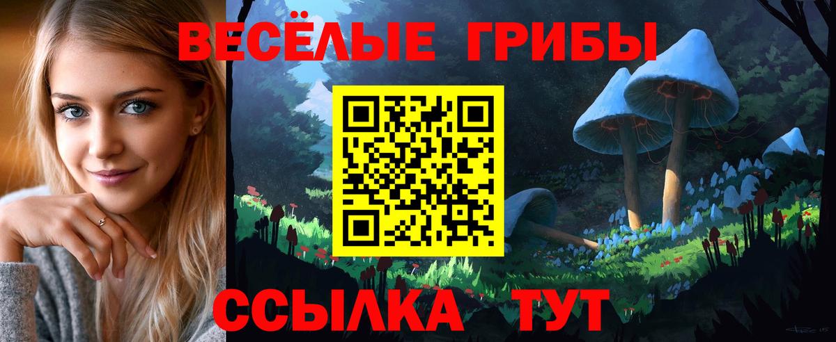 Псилоцибиновые грибы мицелий Кимры
